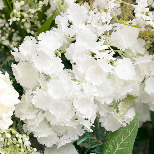 Gypsophila Baby's Breath Spray White (70cmH)