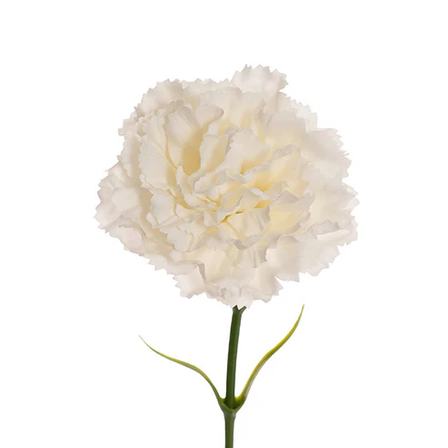 Real Touch Ruffle Carnation Stem White (9cmDx52cmH)