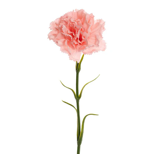 Real Touch Ruffle Carnation Stem Soft Pink (9cmDx52cmH)
