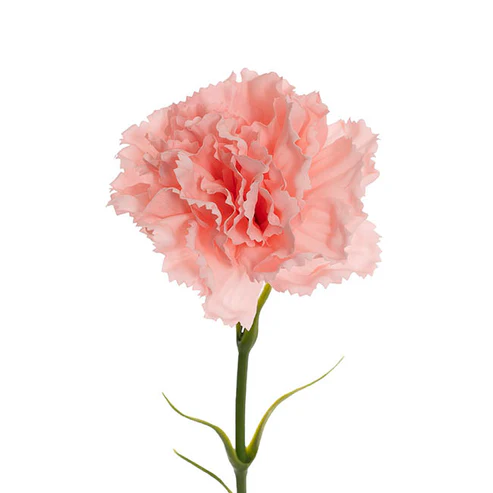 Real Touch Ruffle Carnation Stem Soft Pink (9cmDx52cmH)