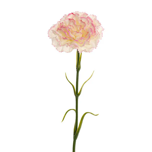 Real Touch Ruffle Carnation Stem Pink Cream (9cmDx52cmH)
