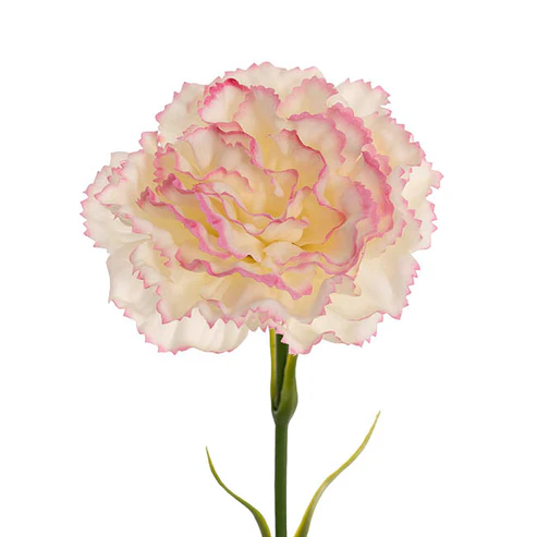Real Touch Ruffle Carnation Stem Pink Cream (9cmDx52cmH)
