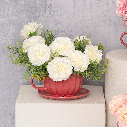 Carnation Ruffle Stem White (9cmDx42cmH)