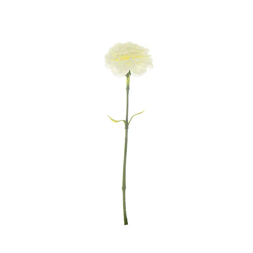 Carnation Ruffle Stem White (9cmDx42cmH)