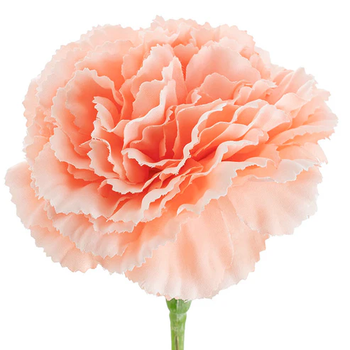 Carnation Ruffle Stem Soft Peach (9cmDx42cmH)