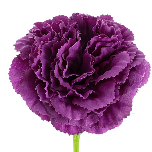 Carnation Ruffle Stem Dark Purple (9cmDx42cmH)