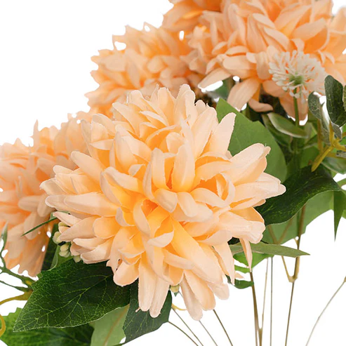Chrysanthemum 7 Heads Bouquet Soft Peach (11cmDx48cmH)