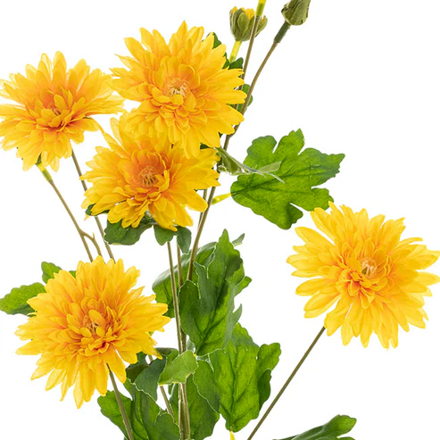 Chrysanthemum x 7 Head Spray Yellow (83cmH)
