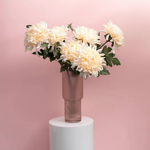 Chrysanthemum Stem Champagne (21cmDx65cmH)