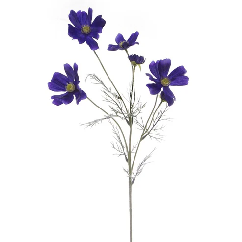 Cosmos Spray Cobalt Blue (62cmH)