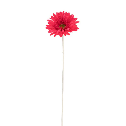 Gerbera Aztec Watermelon (10cmDx54cmH)