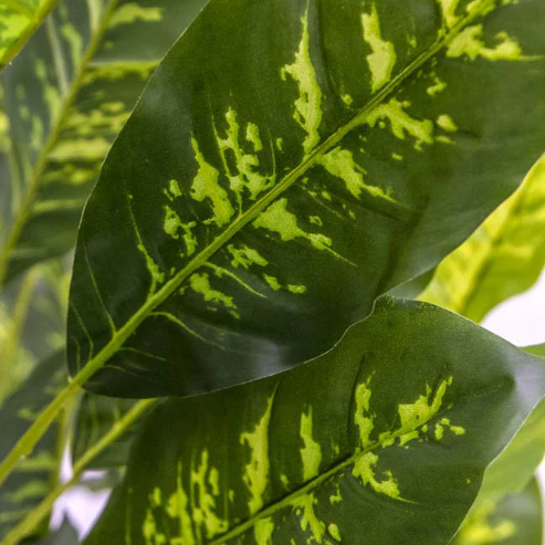 Artificial Dieffenbachia Potted Plant Green (150cmH)