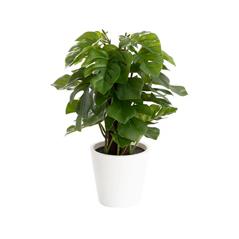 Artificial Monstera Potted Plant Green (25cmH)