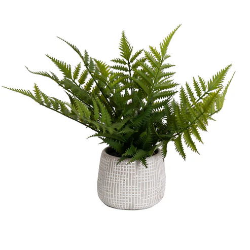 Artificial Parathelypteris Fern Potted Plant Green (33cmH)