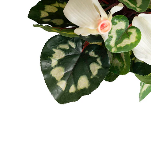 Faux Cyclamen Potted Cream (34cmH)