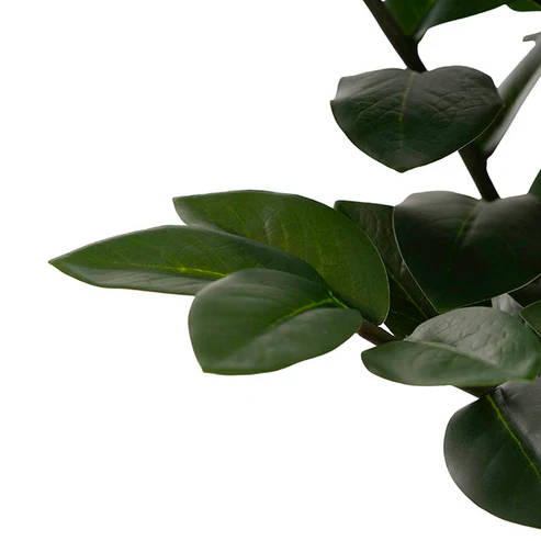 Faux Zamiifolia Potted Plant Real Touch Green (75cmH)