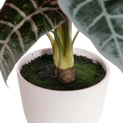 Real Touch Faux Alocasia Plant in White Pot Green (53cmH)