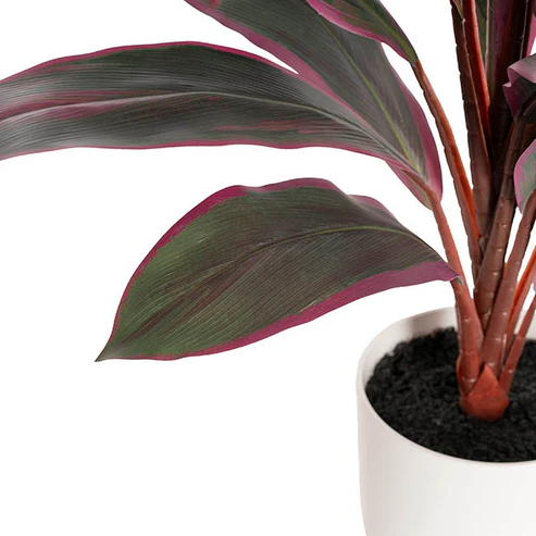 Real Touch Faux Cordyline Plant Potted Red (65cmH)
