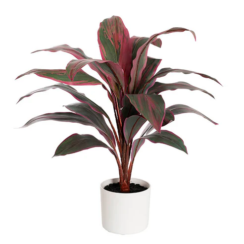 Real Touch Faux Cordyline Plant Potted Red (65cmH)
