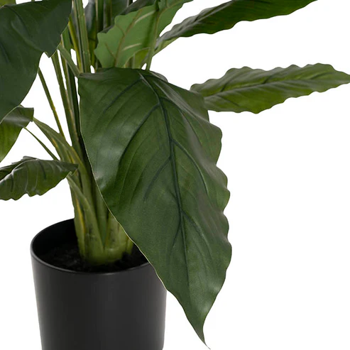 Spathiphyllum Plant Potted Real Touch Green (100cmH)
