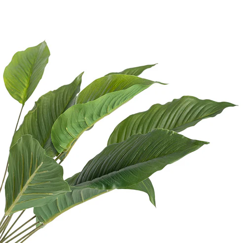 Spathiphyllum Potted Faux Plant Real Touch (76cmH)