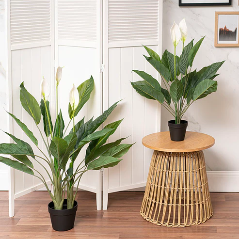 Spathiphyllum Potted Faux Plant Real Touch (76cmH)