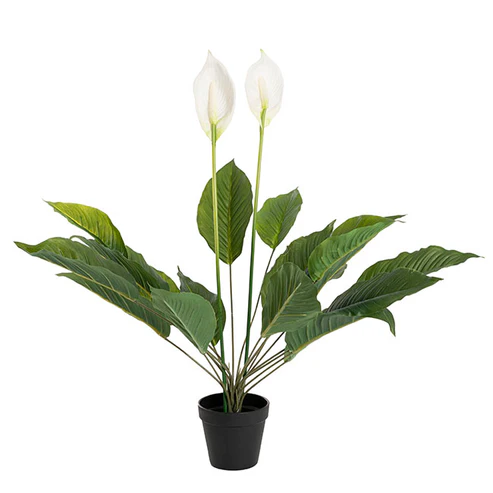 Spathiphyllum Potted Faux Plant Real Touch (76cmH)