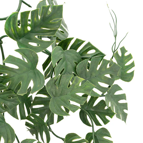 UV Treated Hanging Plant Philo Monstera Green (35cmH)