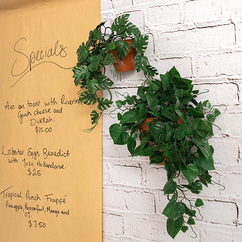 UV Treated Hanging Plant Philo Monstera Green (35cmH)