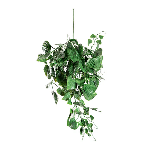 UV Treated Hanging Plant Heart Leaf Green (50cmH)