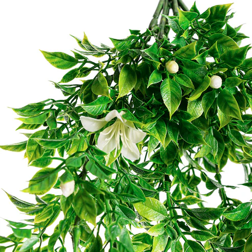 UV Treated Hanging Plant White Azalea Green(54cmH)