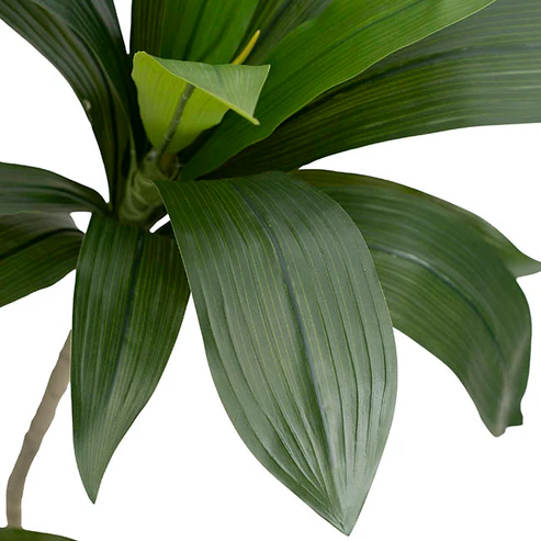 Dracaena in White Pot Faux Real Touch Green (120cmH)