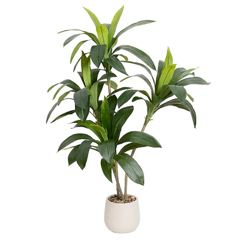 Dracaena in White Pot Faux Real Touch Green (120cmH)