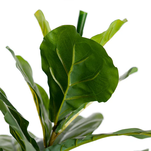 Fiddle Tree Faux Real Touch Potted Green (65cmH)