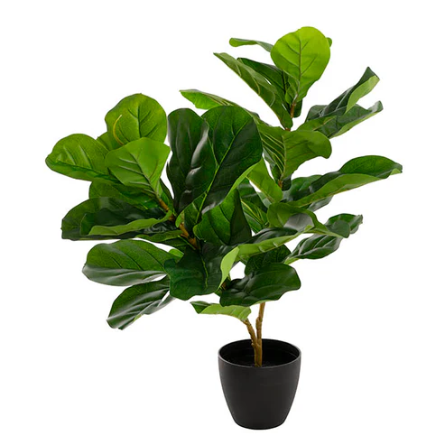Fiddle Tree Faux Real Touch Potted Green (65cmH)