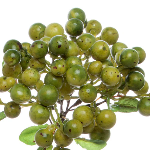 Berry Cluster Spray Green (35cmH)