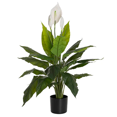 Spathiphyllum Plant Potted Real Touch Green (100cmH)