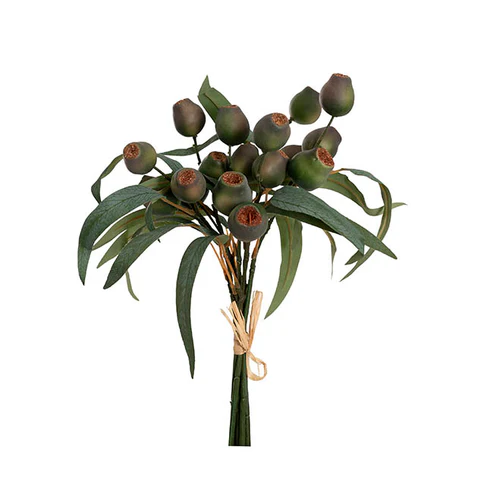 Native Eucalyptus Gumnut Bunch Green (36cmH)