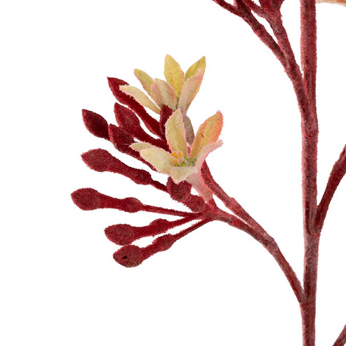 Native Artificial Kangaroo Paw Spray Dark Red (83cmH)  NEW