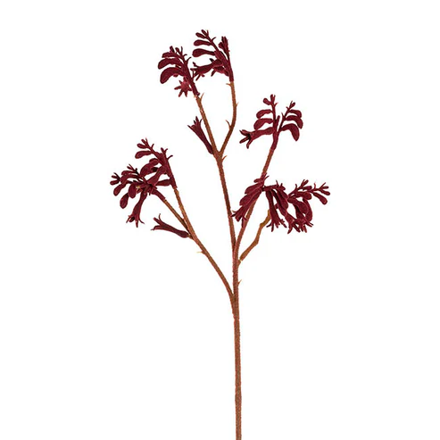 Native Artificial Kangaroo Paw Spray Dark Red (62cmH)
