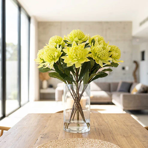 Native Waratah Soft Yellow Green (18cmDx80cmH)
