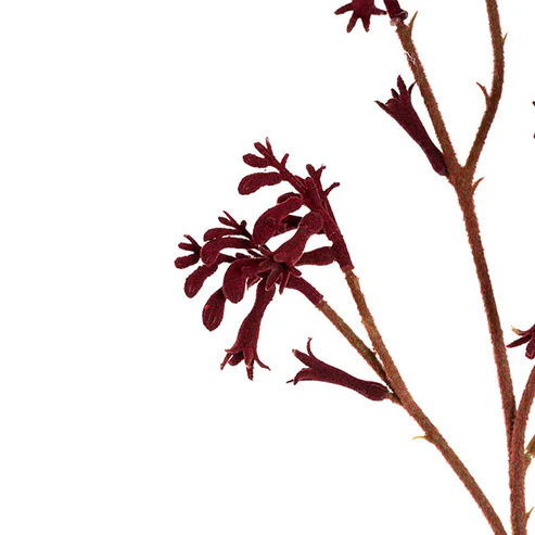 Native Artificial Kangaroo Paw Spray Dark Red (62cmH)