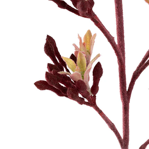 Native Artificial Kangaroo Paw Spray Dark Fushsia (83cmH)
