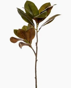 Princess Magnolia Leaves Spray Real Touch Green (83cmH)