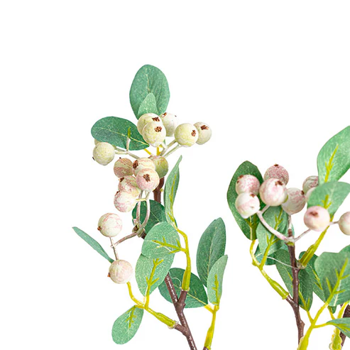 Eucalyptus White Gumnut Spray Green (62cmH)