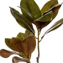 Princess Magnolia Leaves Spray Real Touch Green (83cmH)