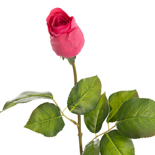 Bella Rose Real Touch Bud Hot Pink (60cmH)