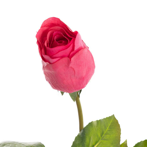 Bella Rose Real Touch Bud Hot Pink (60cmH)