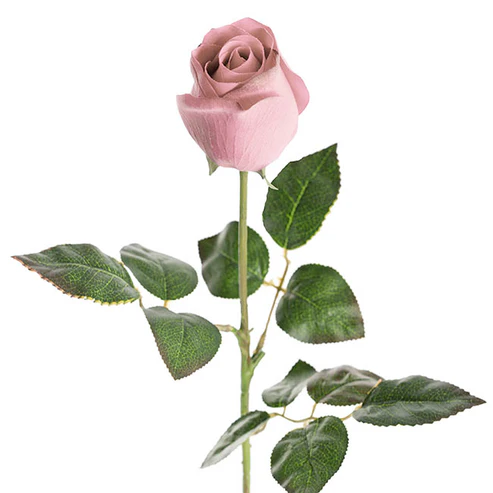 Bella Rose Real Touch Bud Powder Pink (60cmH)
