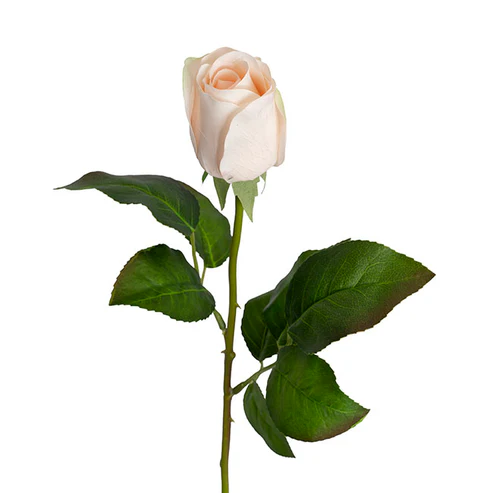 Bella Rose Real Touch Bud Soft Peach (60cmH)